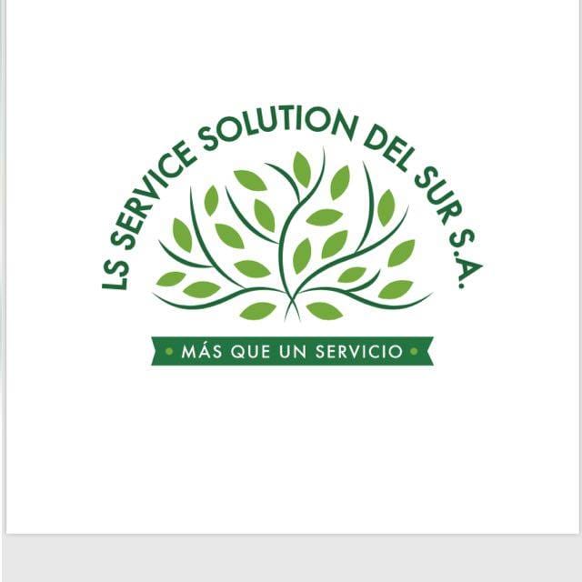 LS Solution Distribuidora